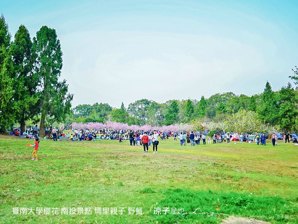暨南大學櫻花 南投景點 埔里親子 野餐