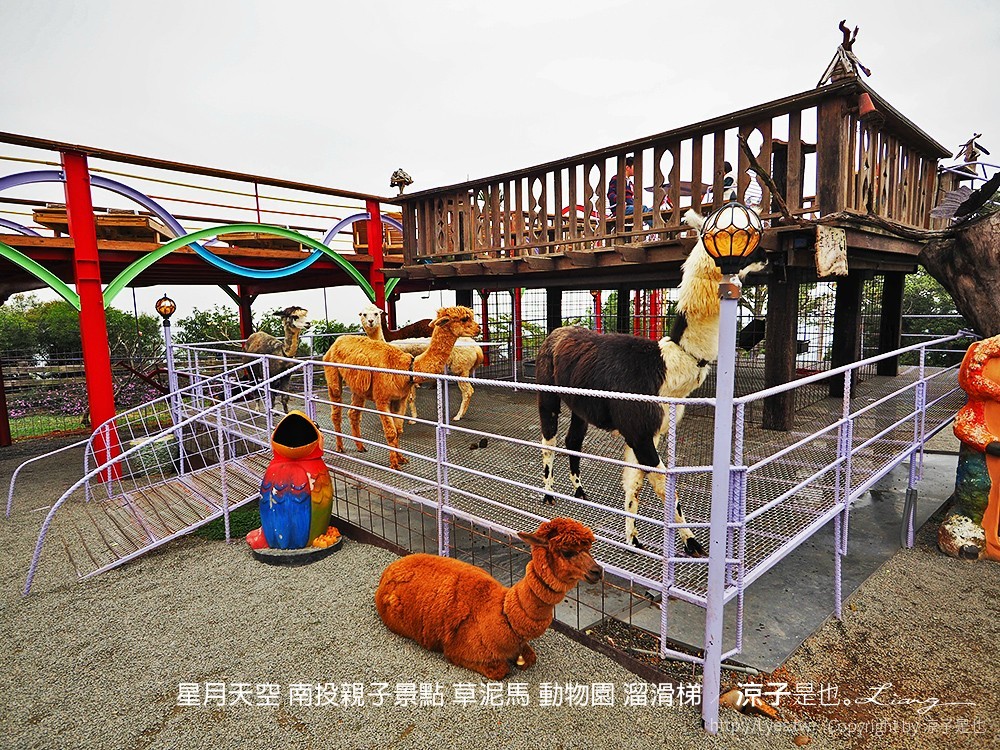星月天空 南投親子景點 草泥馬 動物園 溜滑梯