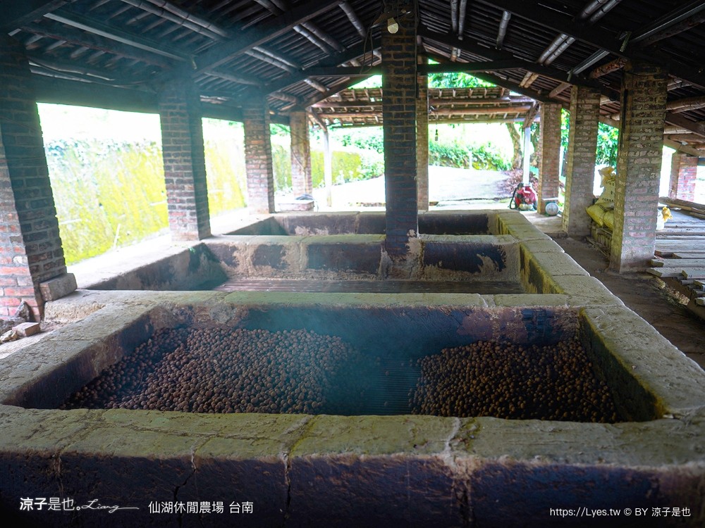 仙湖農場 仙湖休閒農場 住宿房型 台南民宿 早餐 餐廳 菜單 無邊際泳池 小動物 親子飯店 台南景點 龍眼