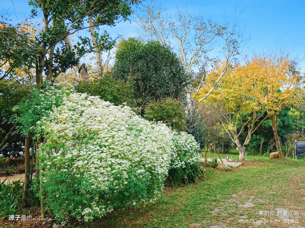 寨酌然野奢庄園 苗栗 親子住宿 villa 奢華懶人露營 露營車 早餐 晚餐 一泊二食 diy 苗栗泳池飯店 推薦