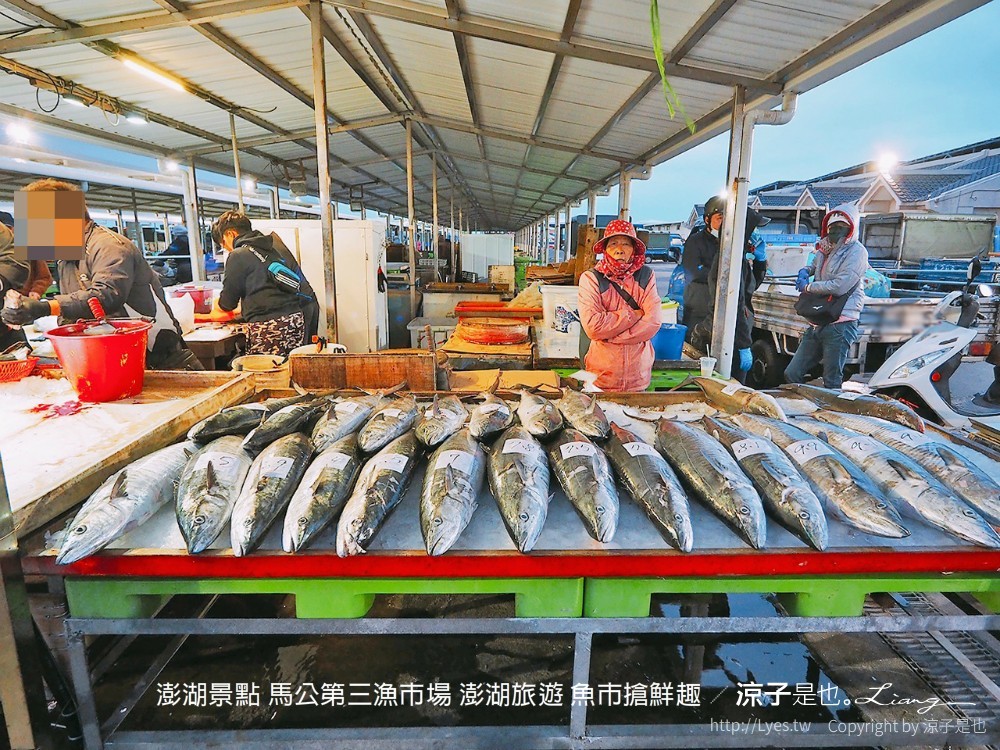 澎湖景點 馬公第三漁市場 澎湖旅遊 魚市搶鮮趣