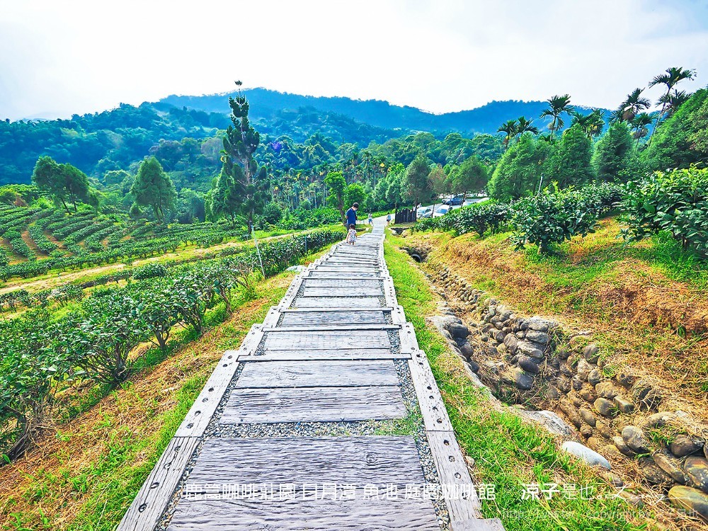 鹿篙咖啡莊園 日月潭 魚池 庭園咖啡館