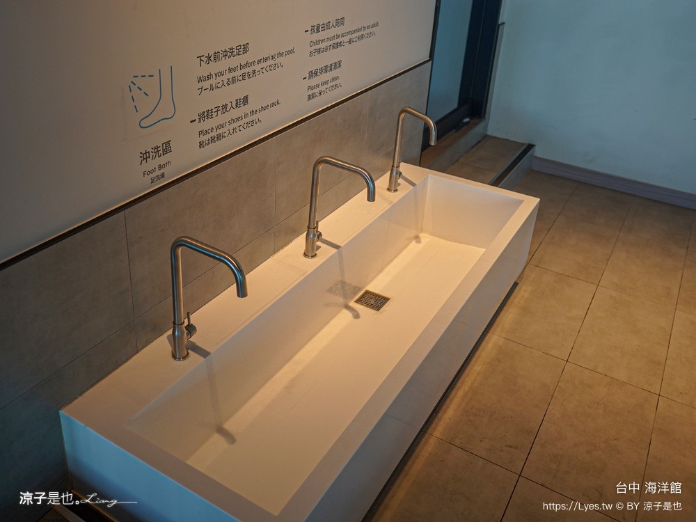 台中海洋館 門票優惠 交通 八大展區 免費票 台中親子景點 台中景點推薦 懶人包 攻略 必看特色