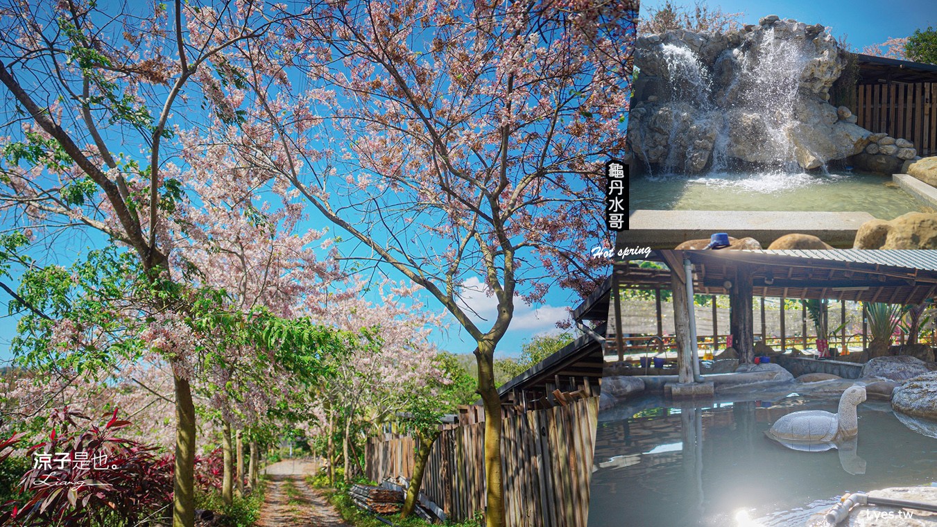 龜丹水哥溫泉區 台南景點 SPA 露天溫泉池 花旗木秘境 水哥休閒農事體驗