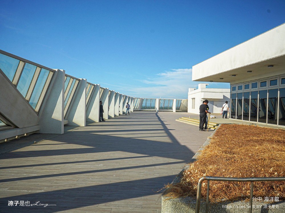 台中海洋館 門票優惠 交通 八大展區 免費票 台中親子景點 台中景點推薦 懶人包 攻略 必看特色