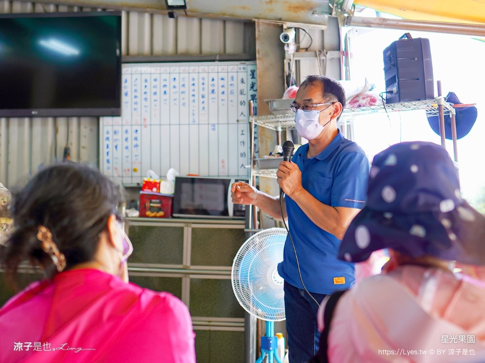 星光 親子景點 免費採果活動 台南農場 台南露營 diy 採芒果體驗 自然的鬥士