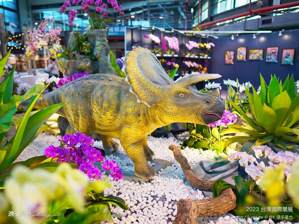台灣國際蘭展 門票 2023時間 台南景點 魔境 恐龍 親子diy 必看亮點 台南限定蘭花