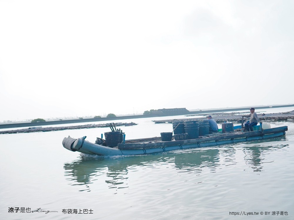 布袋海上巴士 嘉義親子景點 門票價格 蛋糕沙灘 網美拍照打卡 生態導覽