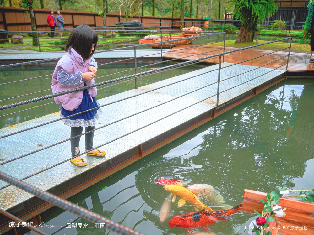 鳳梨屋水上莊園 宜蘭景點 一日遊 鳳梨屋門票 戲水池 動物園 水豚君 網美景點 水簾鞦韆 鳳梨泳池 餵羊 宜蘭豪華懶人露營 Villa 網美景點