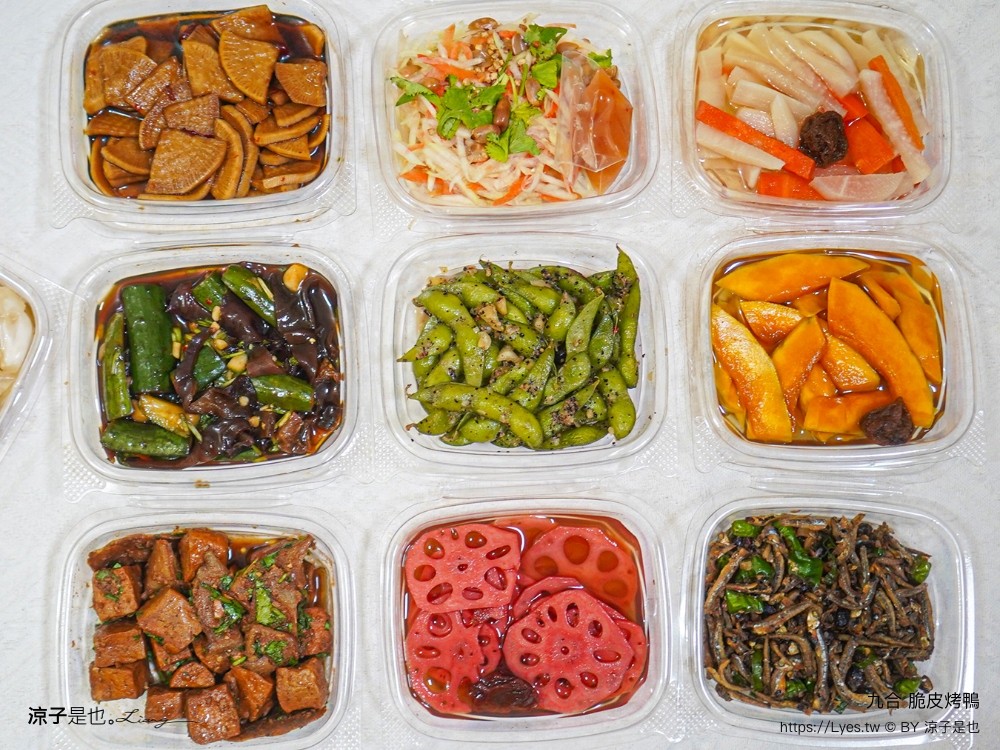 九合脆皮烤鴨 埔里 炒鴨架 高麗菜 片鴨 酸白菜鴨湯 南投外帶美食 露營野餐 旅遊美食推薦