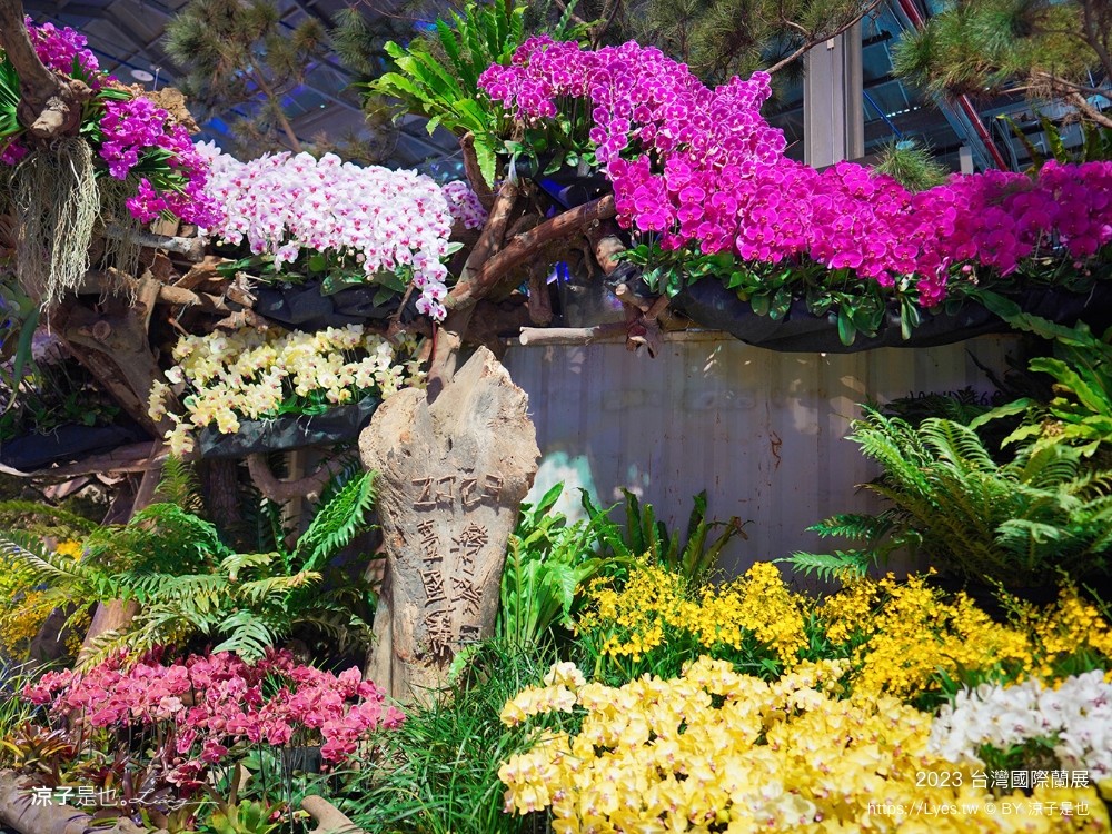 台灣國際蘭展 門票 2023時間 台南景點 魔境 恐龍 親子diy 必看亮點 台南限定蘭花
