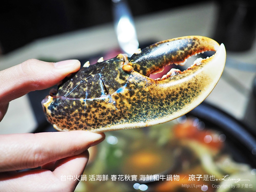台中火鍋 活海鮮 春花秋實 海鮮和牛鍋物