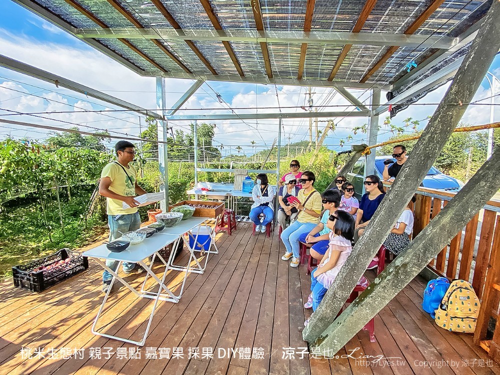 桃米生態村 親子景點 嘉寶果 採果 diy體驗