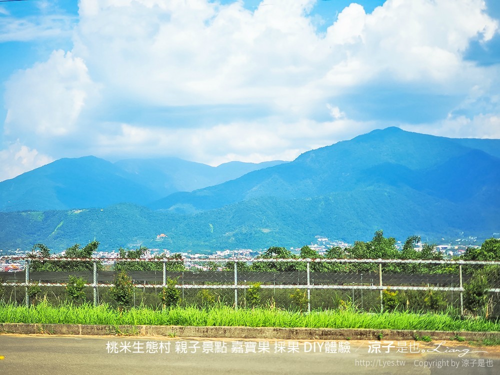 56 桃米生態村 南投埔里 採果 嘉寶果 diy體驗 親子景點