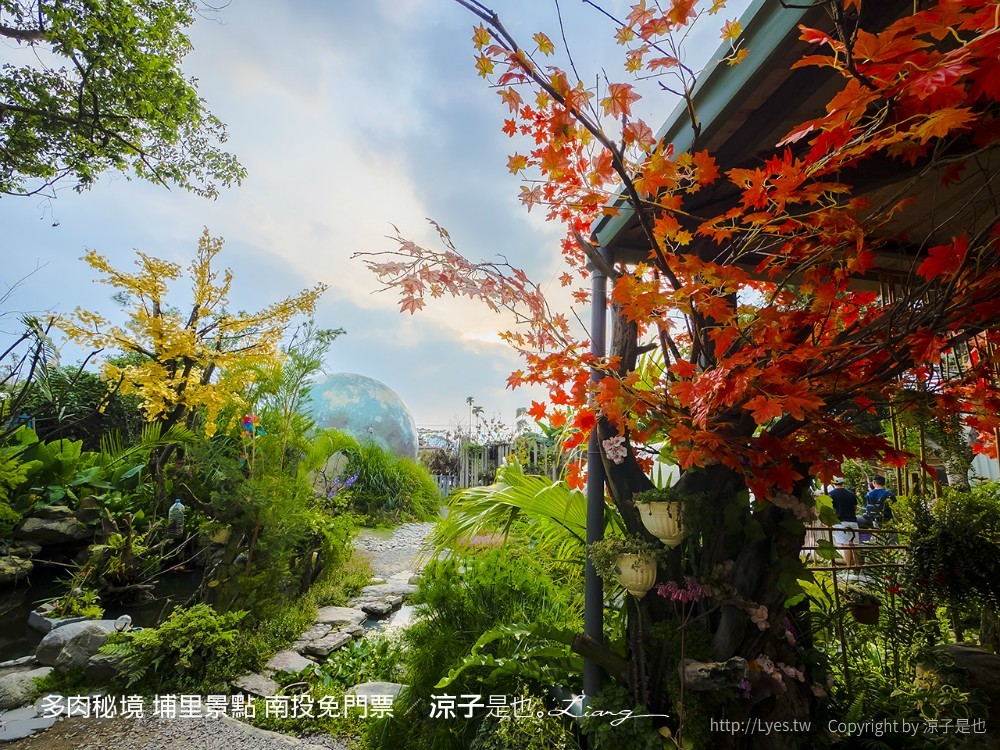 多肉秘境 埔里景點 南投免門票