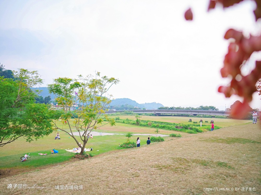 埔里景點 埔里內埔飛場 欒樹親子景點 南投藍花楹花道 賞花秘境 草地野餐 放風箏 玩球