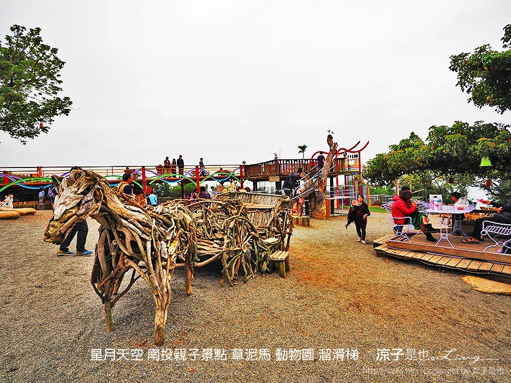 星月天空 南投親子景點 草泥馬 動物園 溜滑梯