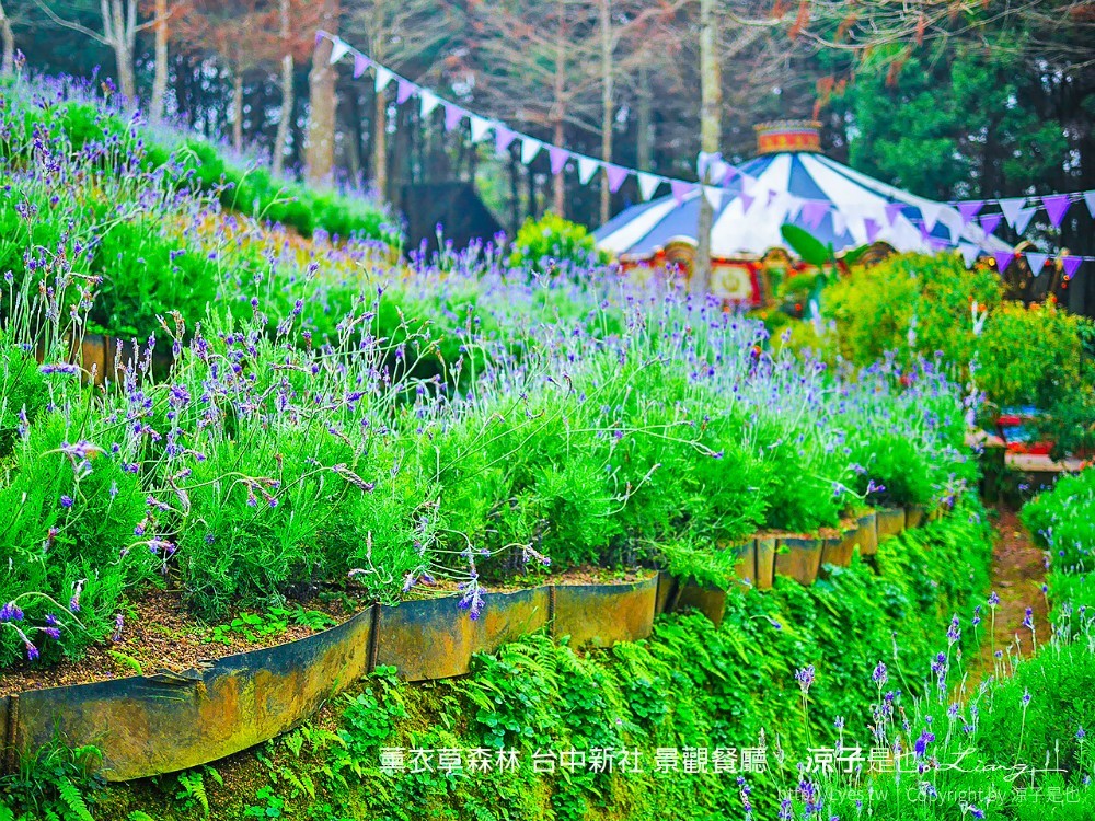 薰衣草森林 台中新社 景觀餐廳