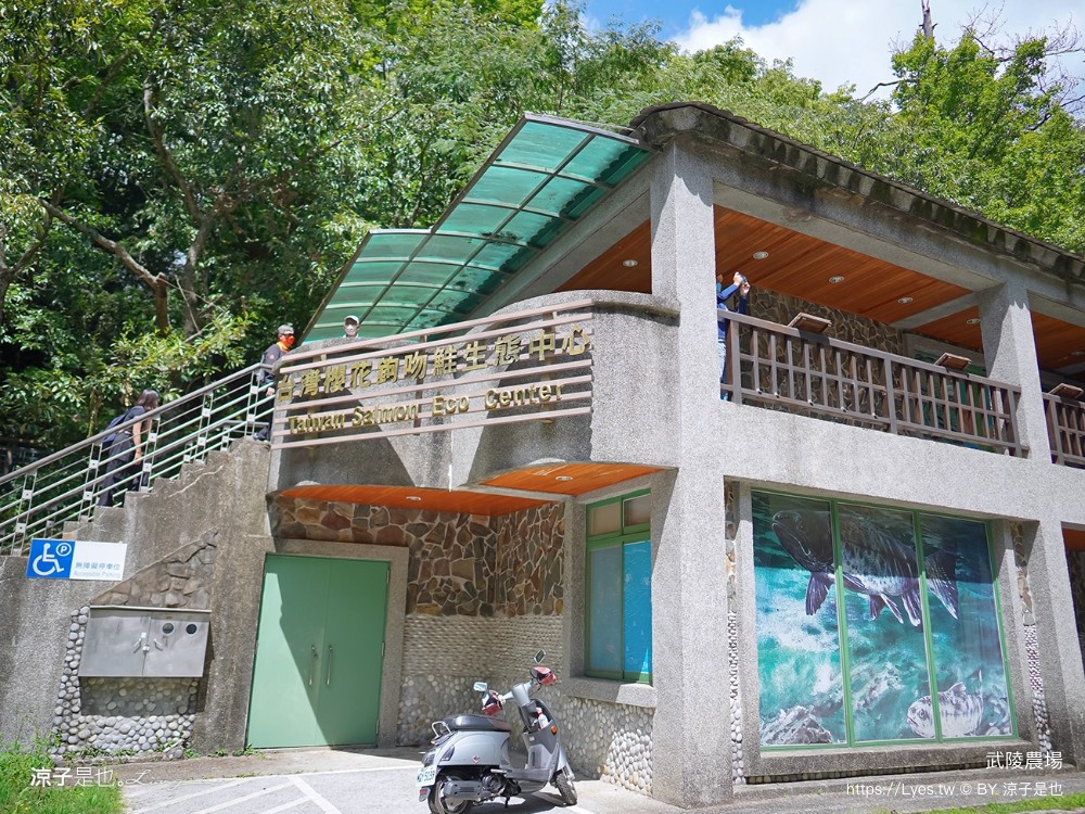 福壽山農場 民宿房型 住宿 露營 賞楓