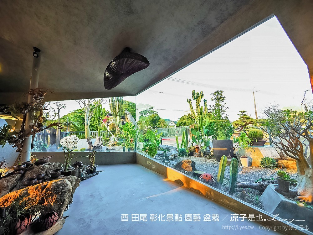 酉 田尾 彰化景點 園藝 盆栽