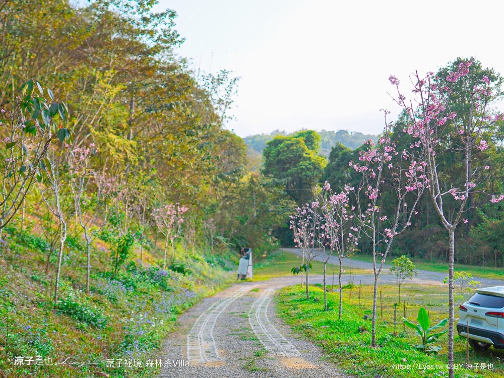葉子祕境 南投埔里民宿 森林住宿 villa 豪華懶人露營 一泊二食 飯店 netflix disney 日月潭 早餐 晚餐