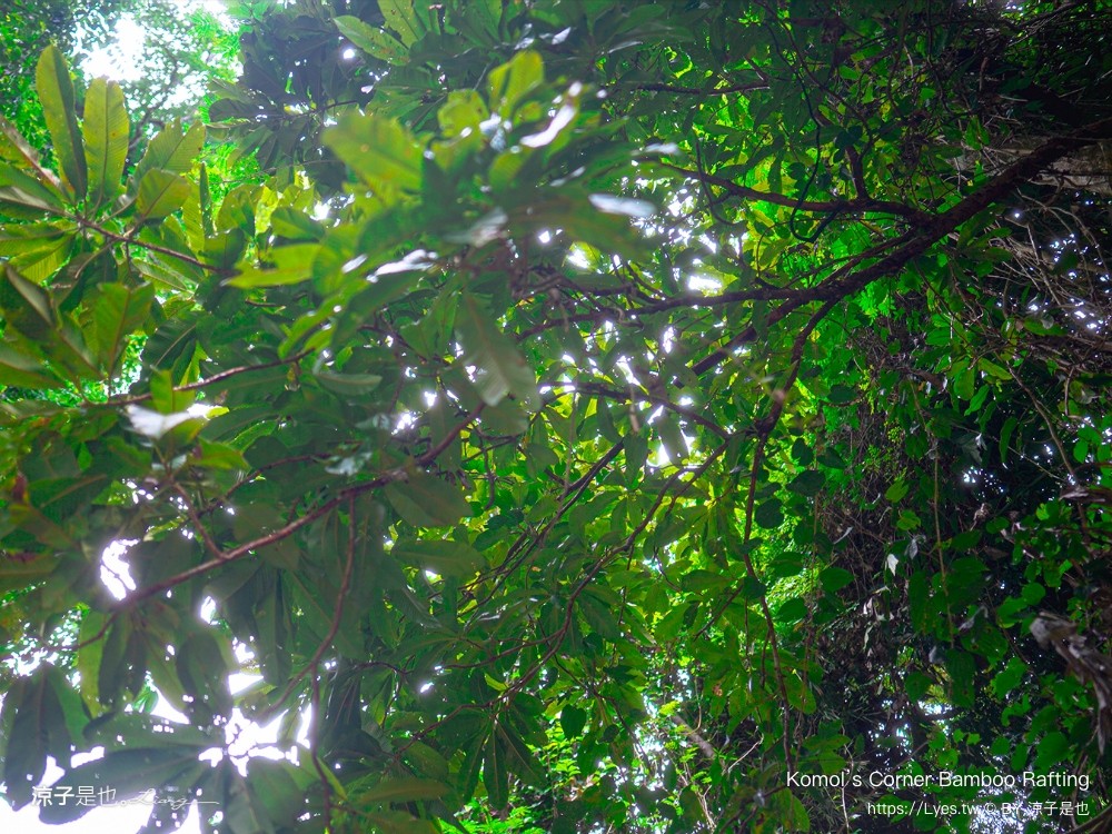 Komol’s Corner Bamboo Rafting Khao Lak 竹筏漂流 普吉島景點 泰國親子景點 攀牙景點 泰國景點推薦 泰國雨林生態體驗