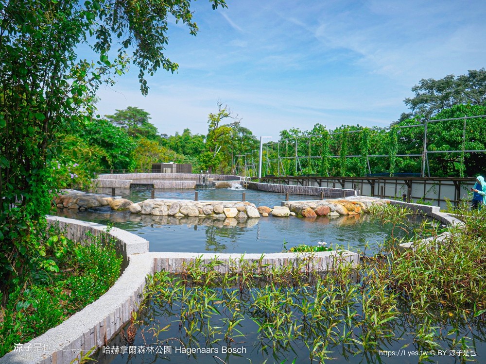 哈赫拿爾森林公園 台南景點 最新公園 森林秘境 開放時間 綠化 生態公園 交通 親子 hagenaars bosch