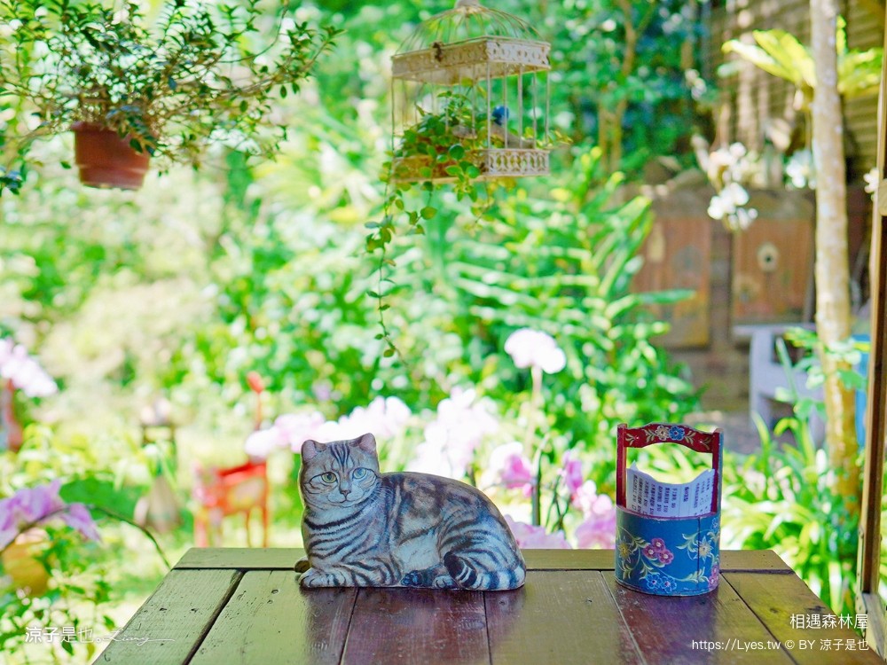 相遇森林屋 菜單 苗栗南庄景點 苗栗景觀餐廳 苗栗景點 森林系 南庄咖啡館 童話屋秘境 苗栗景點 森林系 南庄咖啡館 童話屋秘境