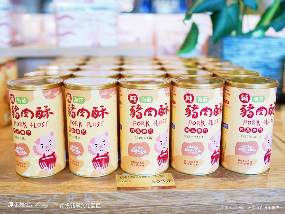 南投名間親子生態園區 南投親子公園 彩虹溜滑梯 盪鞦韆 免門票親子景點 野餐 天空步道 2022重新開幕