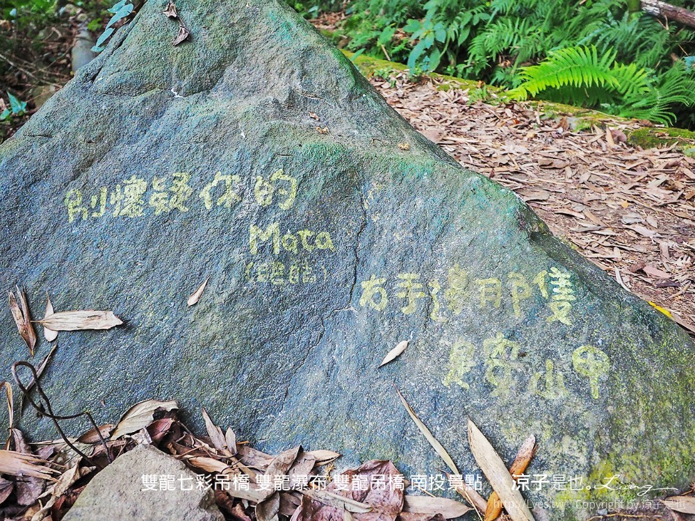 雙龍七彩吊橋 雙龍瀑布 雙龍吊橋 南投景點