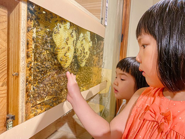 埔里景點 宏基蜜蜂生態農場