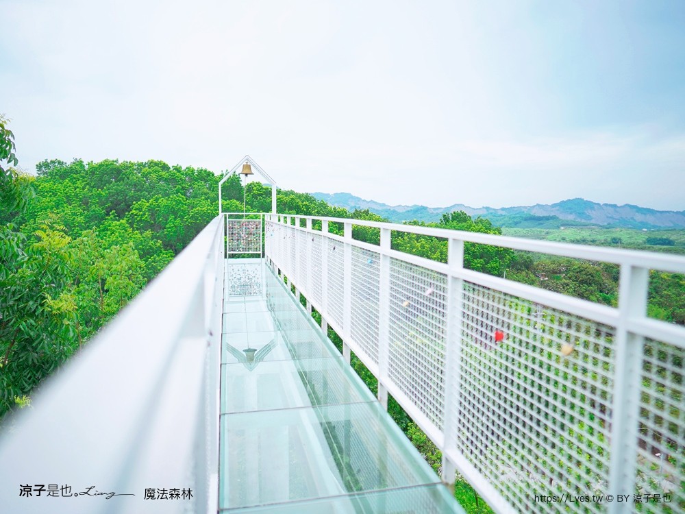 魔法森林景觀咖啡小餐館 菜單 台南景點 玉井景點 魔法森林 天空玻璃步道 台南景觀餐廳推薦