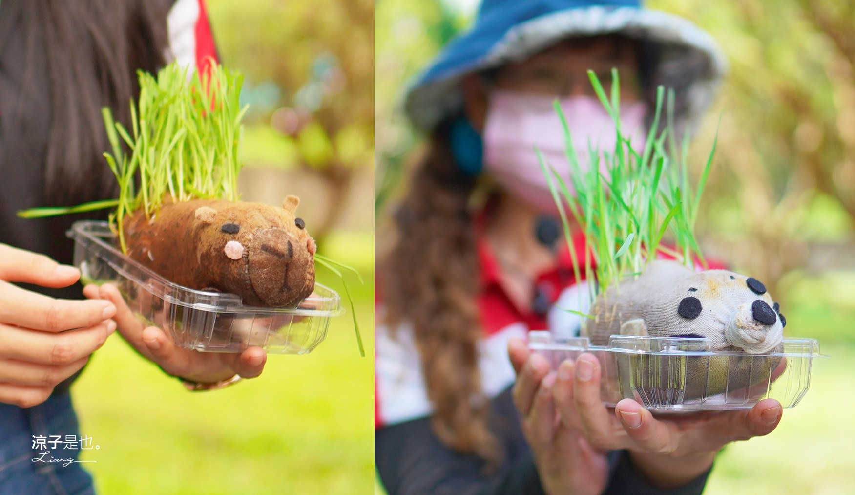 果寶歡酵觀光工廠 有機嘉寶果農場 門票 樹葡萄 南投埔里 親子景點 diy體驗 桃米休閒農業區