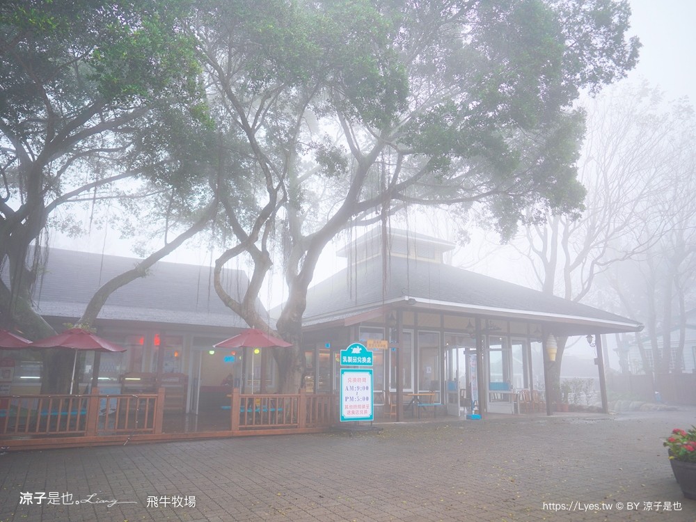 苗栗 飛牛牧場住宿 房型 早餐 四人房 2天1夜 園區門票 票價 苗栗親子飯店推薦