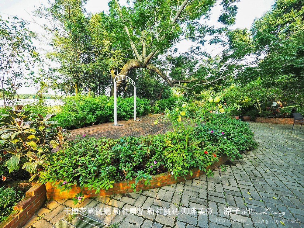 千樺花園餐廳 新社景點 新社餐廳 咖啡美食