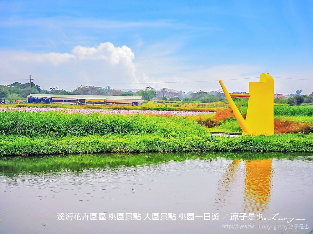溪海花卉園區 桃園景點 大園景點 桃園一日遊