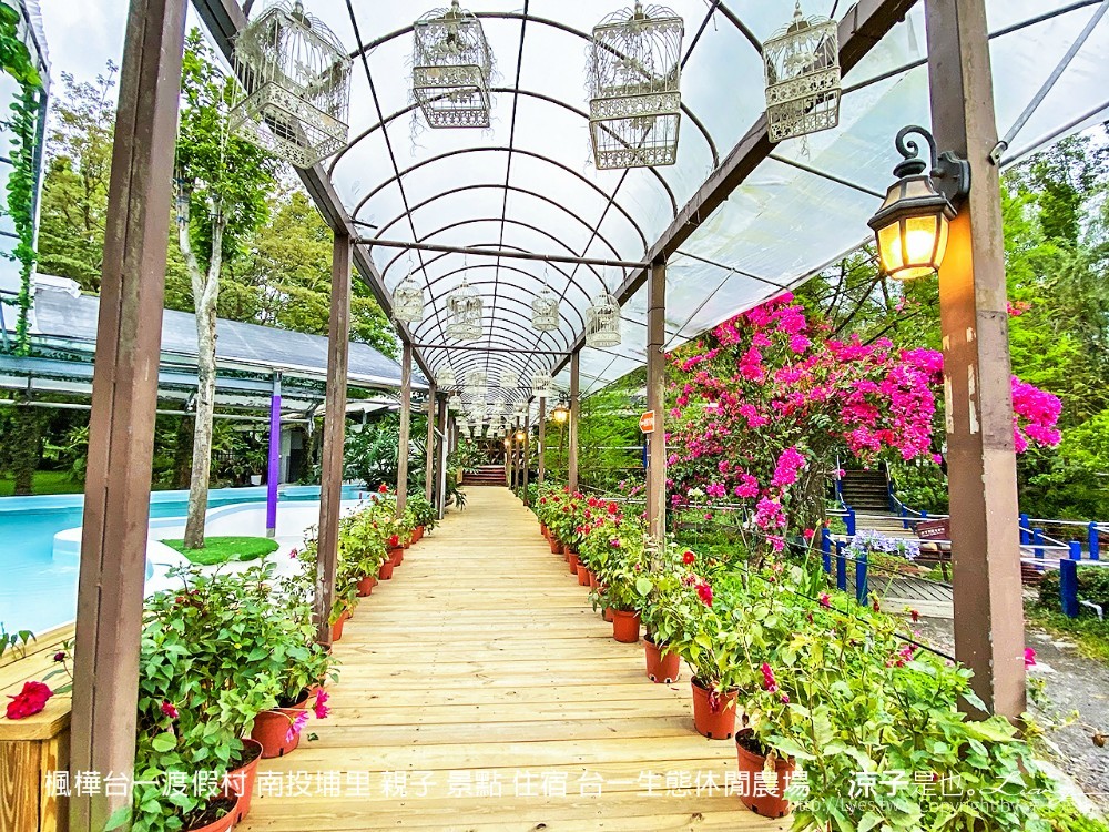 楓樺台一渡假村 南投埔里 親子 景點 住宿 台一生態休閒農場