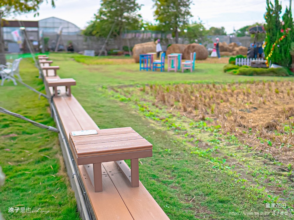 董家花田 菜單 門票 景點 彰化景點 田尾景觀餐廳 花海 戶外野餐 咖啡 交通
