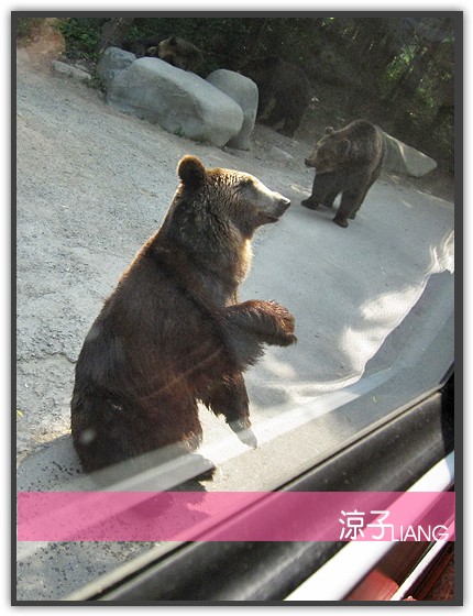 愛寶樂園(動物篇)14