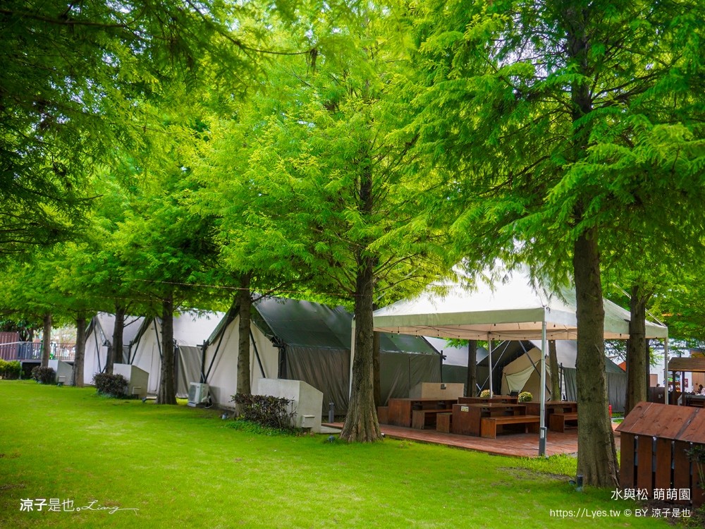 水與松萌萌園 門票 埔里 親子景點 動物園 埔里一日遊推薦 南投農場 羊駝 水豚君 南投景點