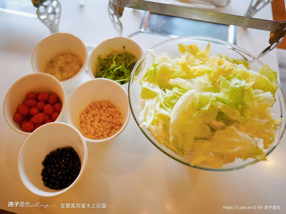 鳳梨屋水上莊 餵羊 早餐 晚餐 帳棚 親子diy