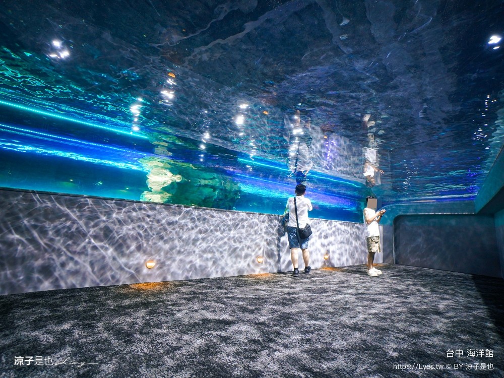 台中海洋館 門票優惠 交通 八大展區 免費票 台中親子景點 台中景點推薦 懶人包 攻略 必看特色