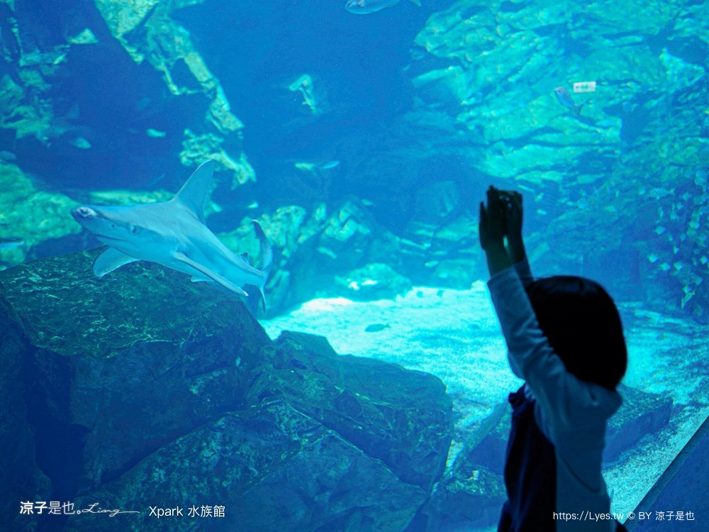 xpark水族館 門票優惠 桃園 親子景點 最新攻略 必看展區 美食餐廳 交通 停車 住宿