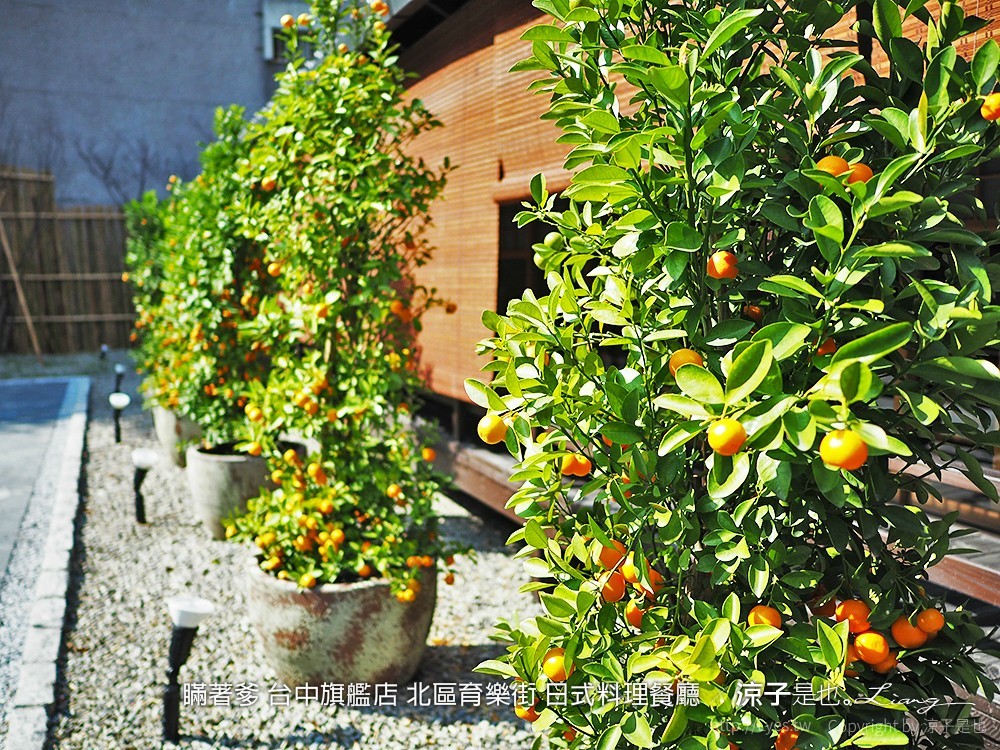 瞞著爹 台中旗艦店 北區育樂街 日式料理餐廳