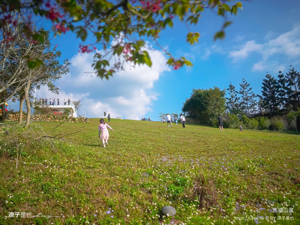 虎嘯山嵐 菜單 埔里景觀餐廳 虎嘯山莊 南投景點 免費入園 飛行傘 寵物餐廳 埔里親子景點 露營