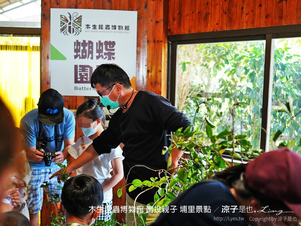木生昆蟲博物館 南投親子 埔里景點