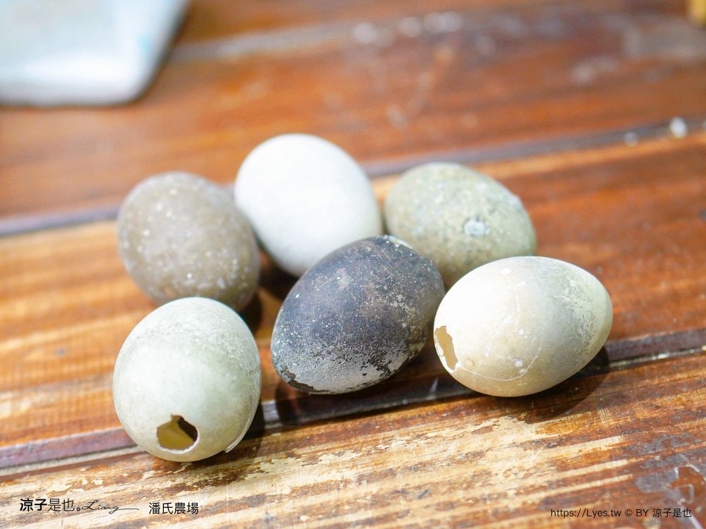潘氏農場 屏東車城 親子景點 紅仁鴨蛋 鹹鴨蛋DFIY 屏東景點推薦 車城鹹鴨蛋老店推薦