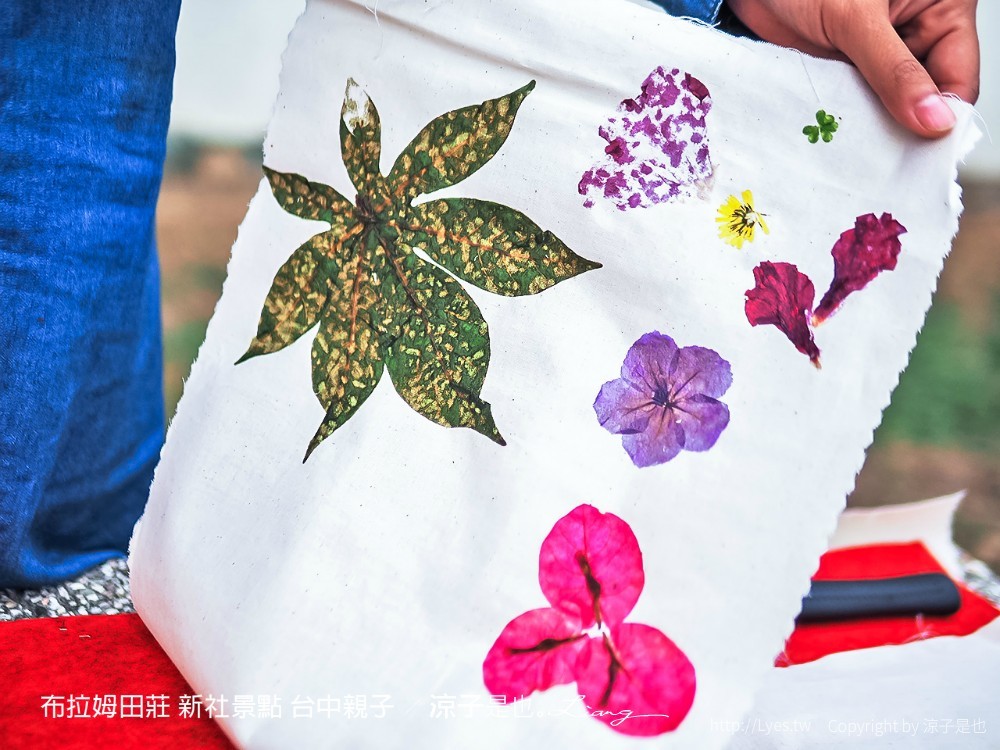 布拉姆田莊 新社景點 台中親子景點 新社美食 親子DIY 台中景點 台中親子景點 DIY活動