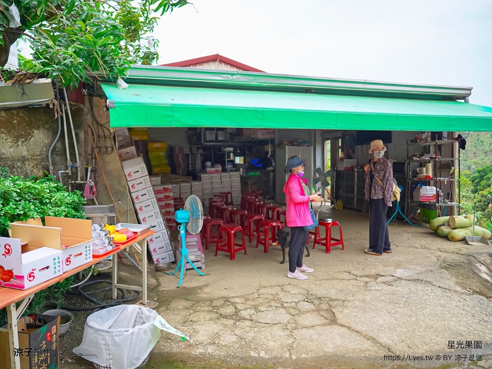 星光 親子景點 免費採果活動 台南農場 台南露營 diy 採芒果體驗 自然的鬥士