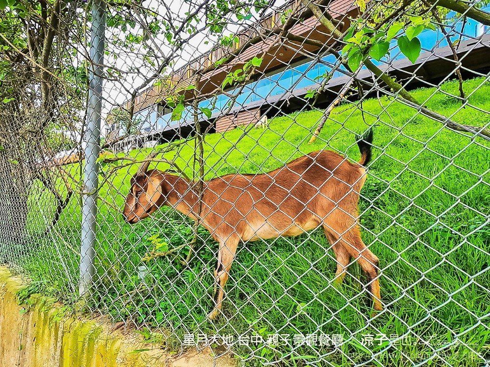 星月大地 台中 親子景觀餐廳
